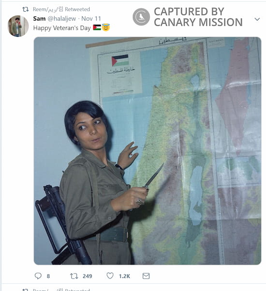 Reem Zaitoon Twitter Nov 11 2018