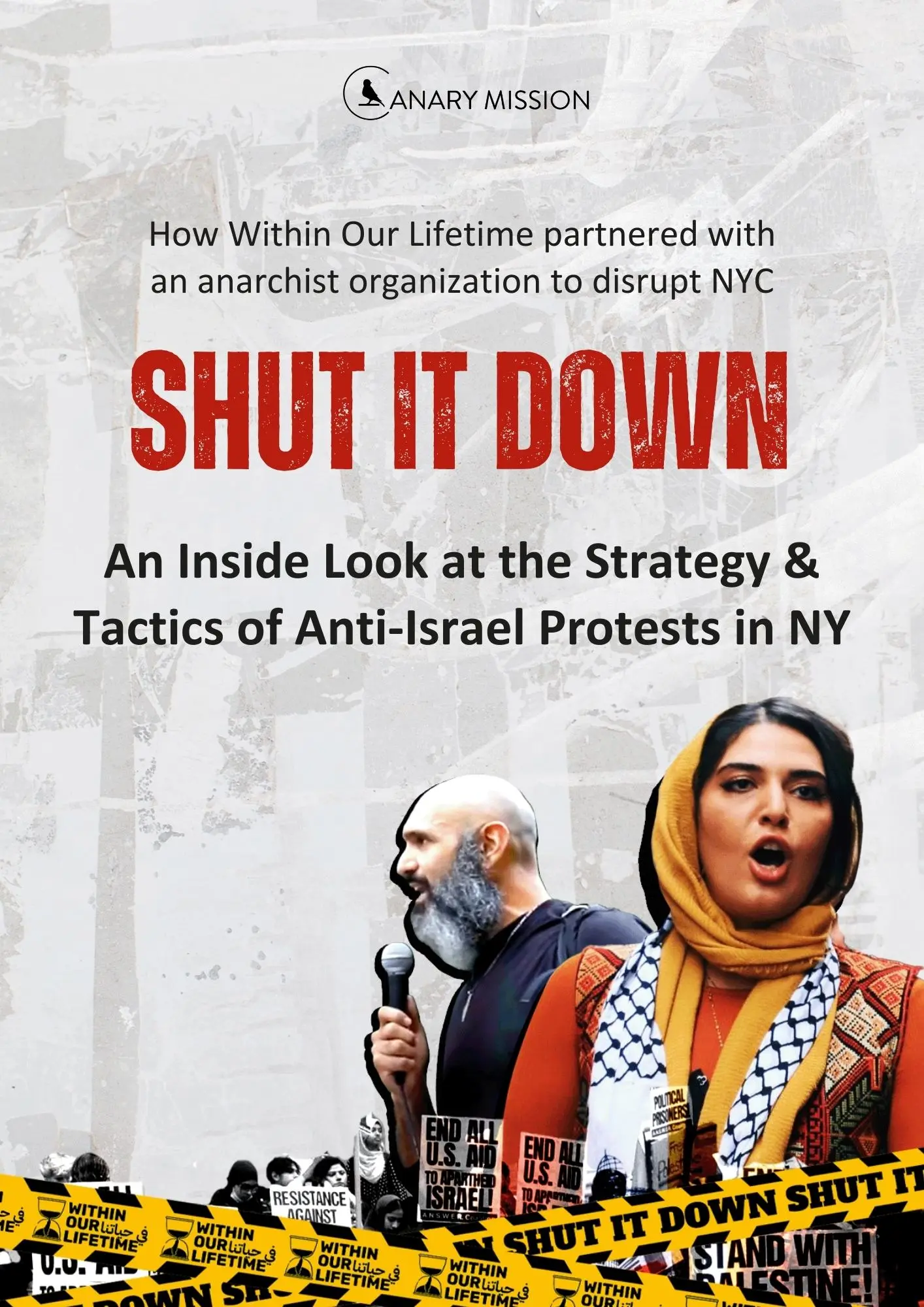 Link to PDF