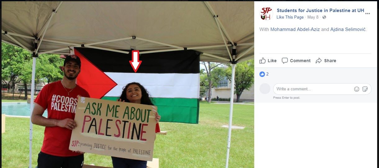 Ajdina Selimović image #3