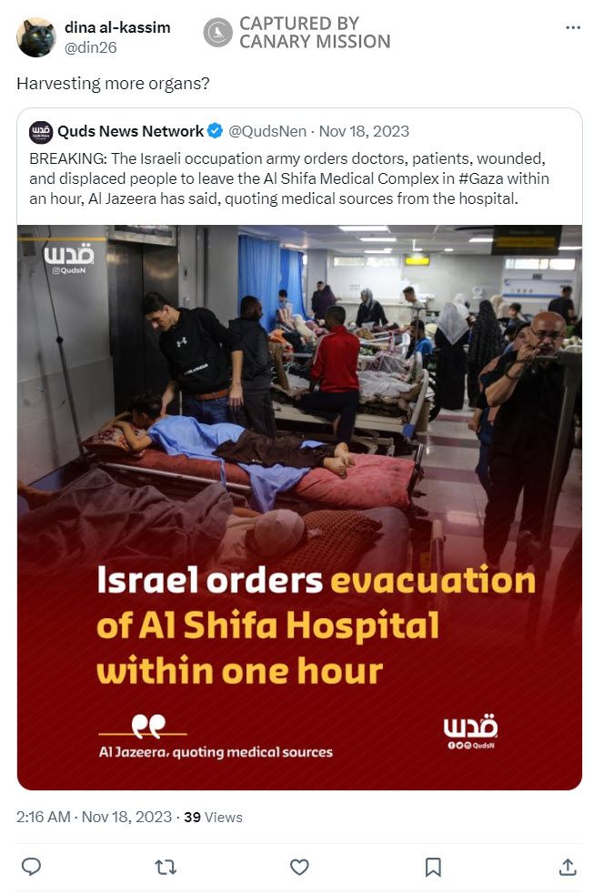 Dina Al-Kassim, Twitter - Nov 18, 2023