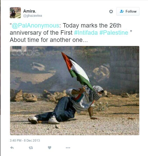 Amira Sakalla image #1