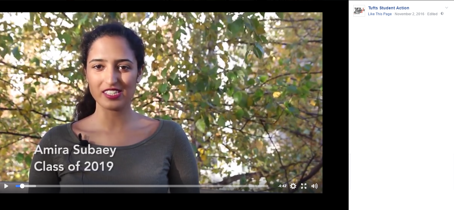 Amira Subaey image #0