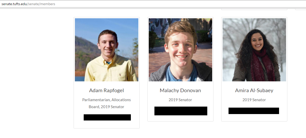 Amira Subaey image #2