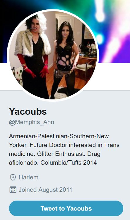 Ann Yacoubian image #2