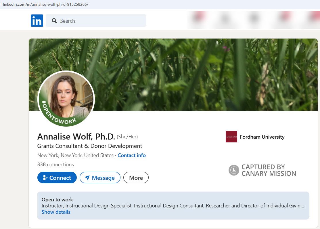 Annalise Wolf, LinkedIn - Oct 27, 2024