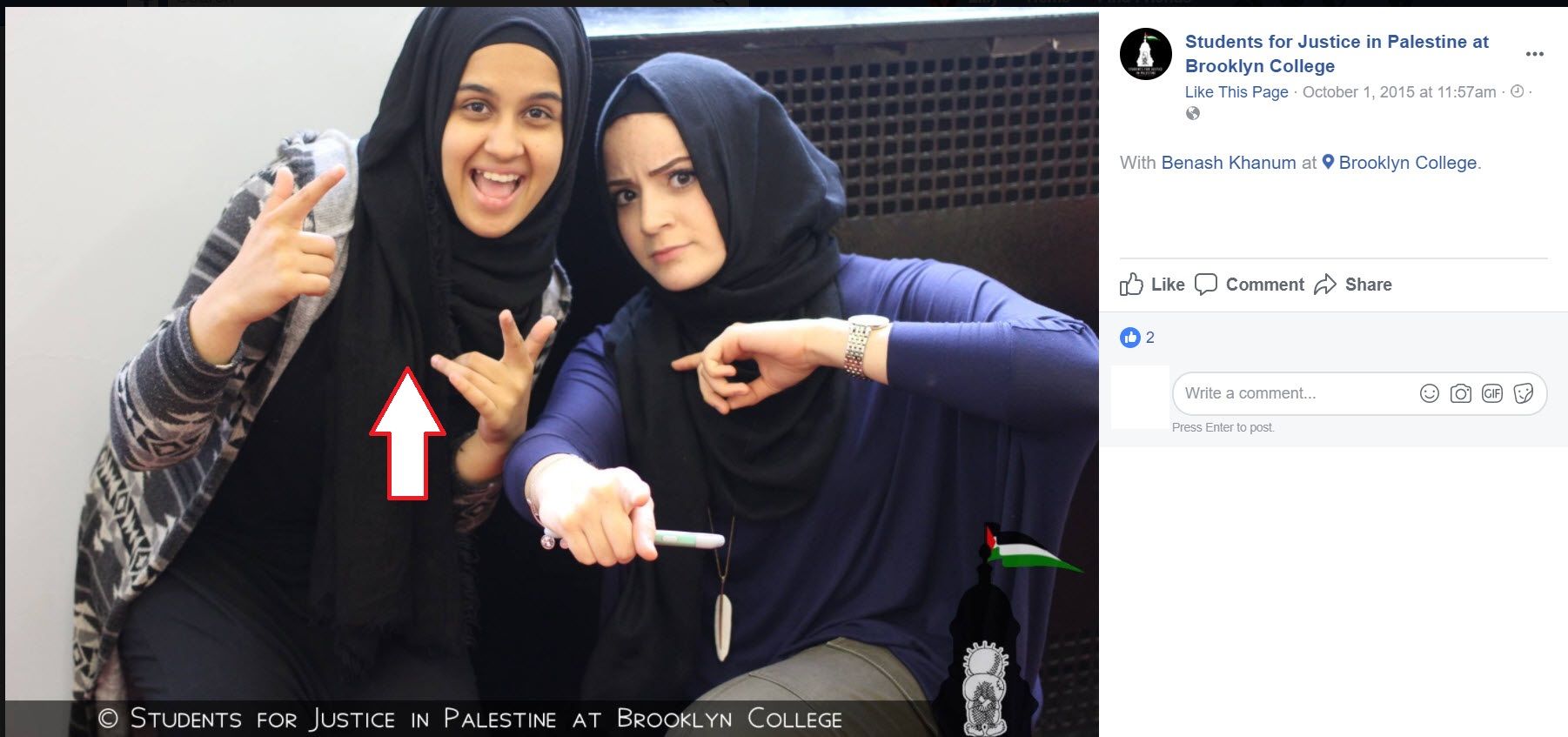 Benash Khanum image #0