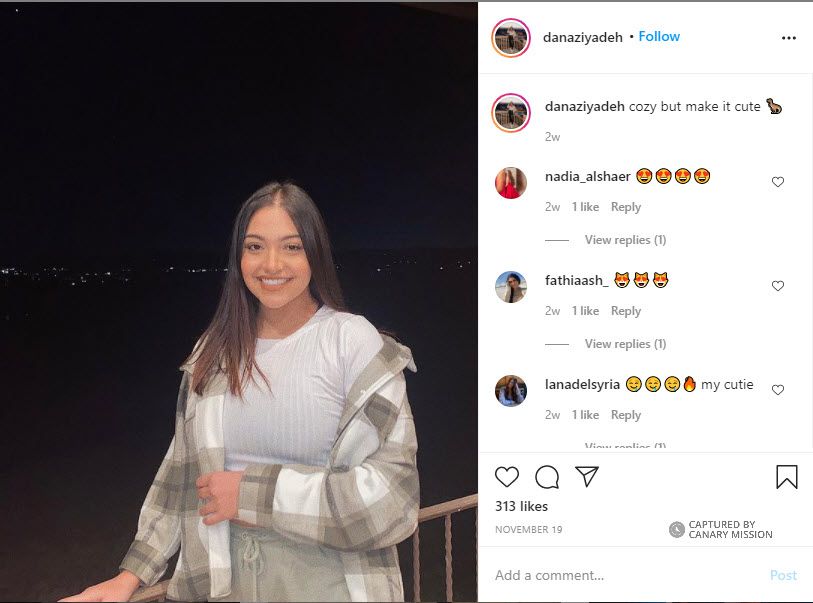 Dana Ziyadeh, Instagram - Nov 19, 2020