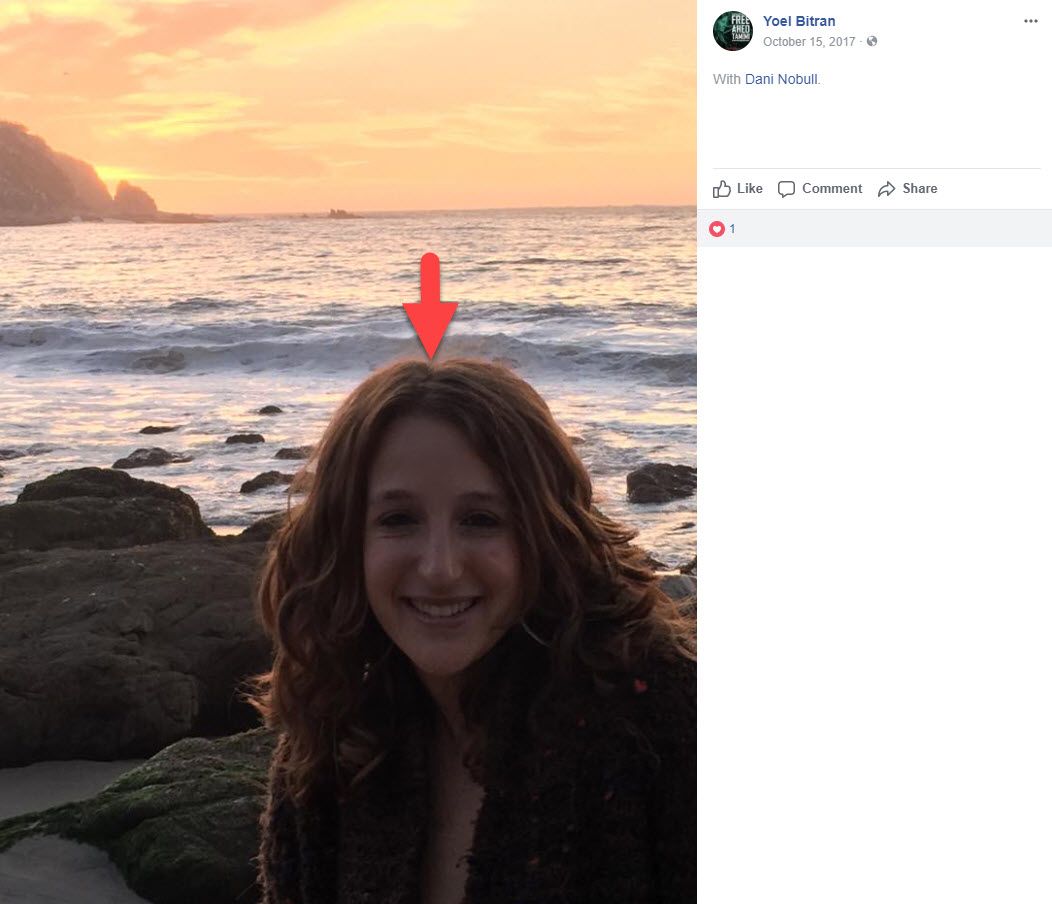 Danielle Noble image #0