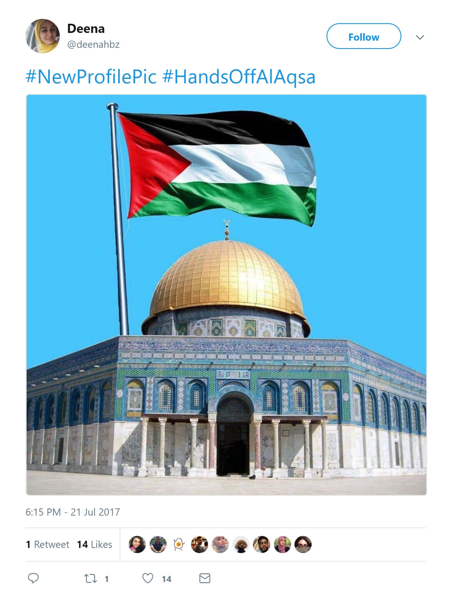 Deena Habazi image #3