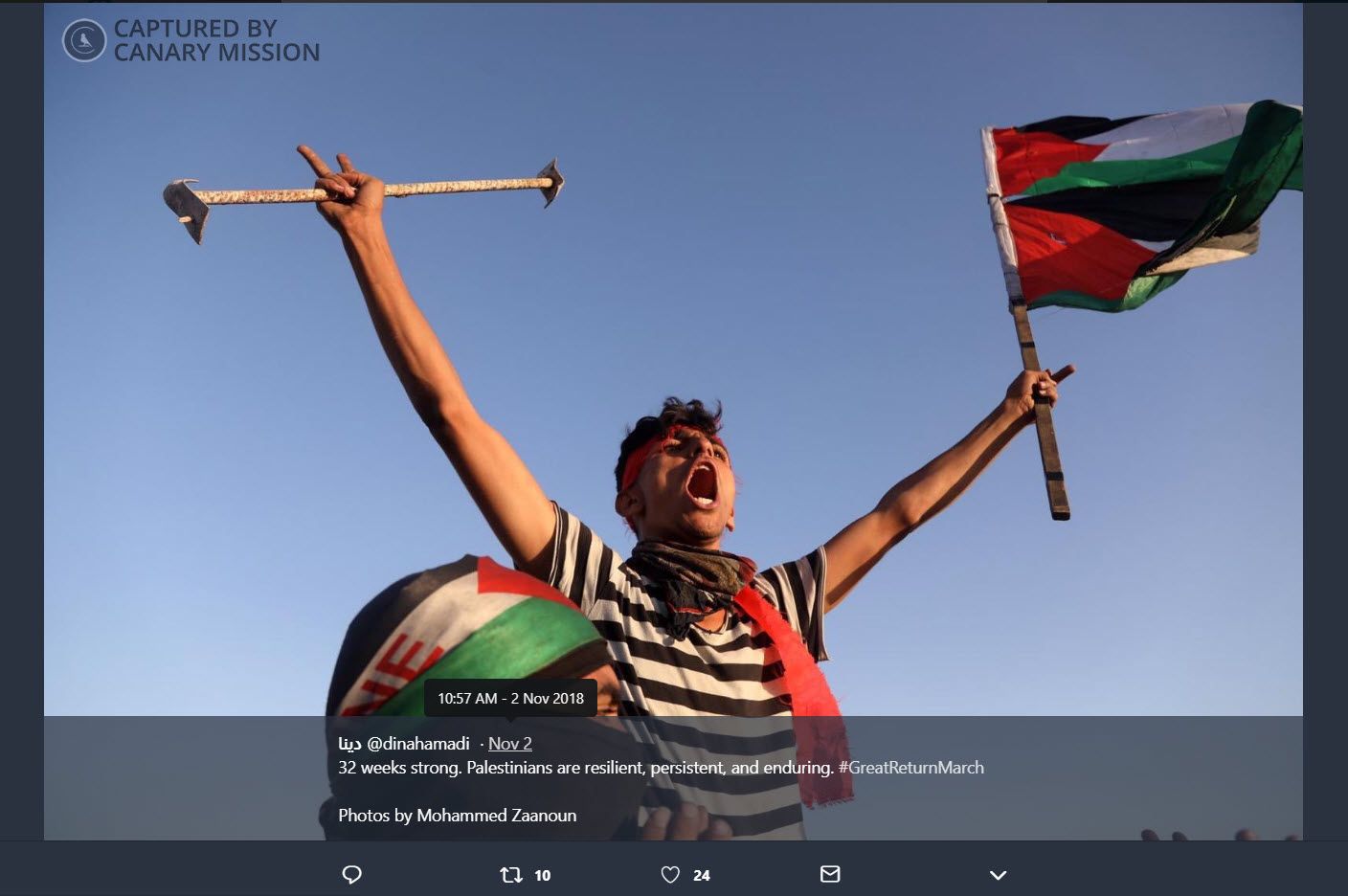 Dina Hamadi, Twitter - Nov 2, 2018