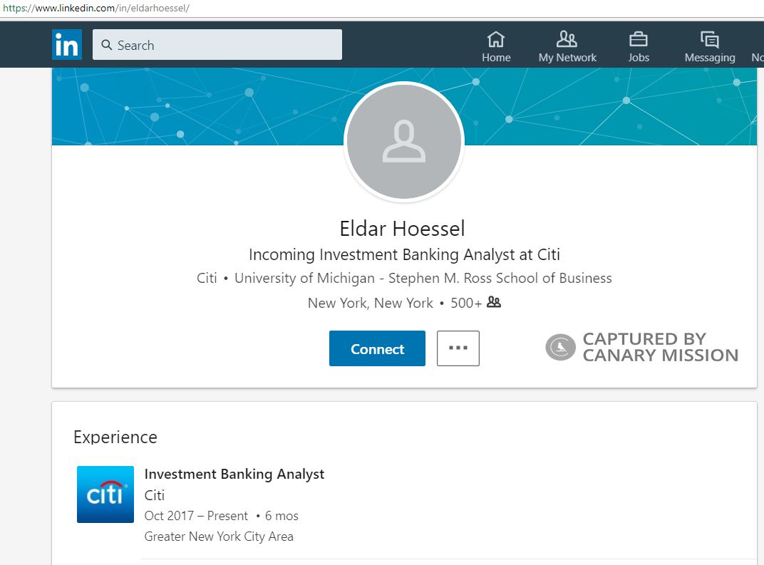 Eldar Hoessel image #3