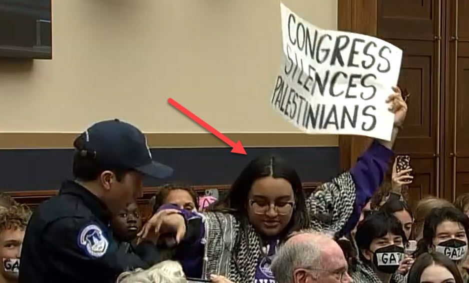 Hafiza Khalique, New York University NYU, Trespassing and Getting Arrested at a US Congressional Building