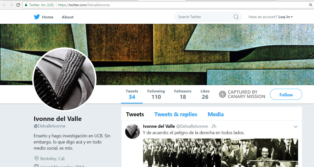 Ivonne del Valle image #1