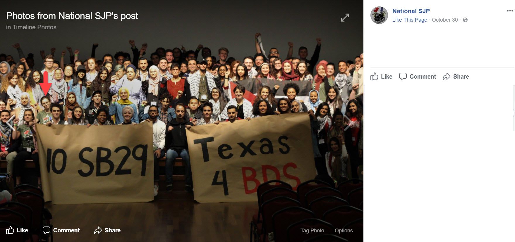 Leila Warah image #1