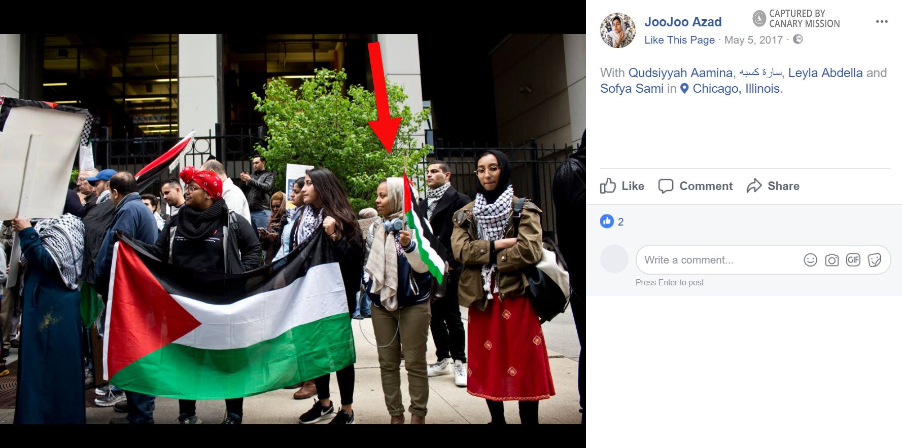 Leyla Abdella image #2