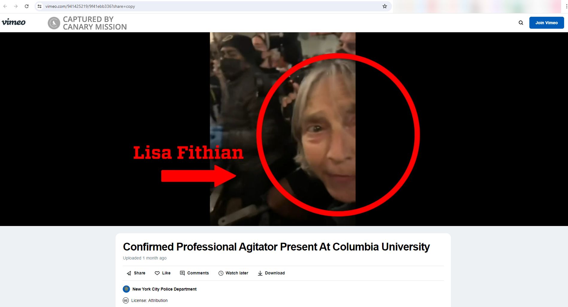 Lisa Fithian, vimeo.com - Apr 1, 2024