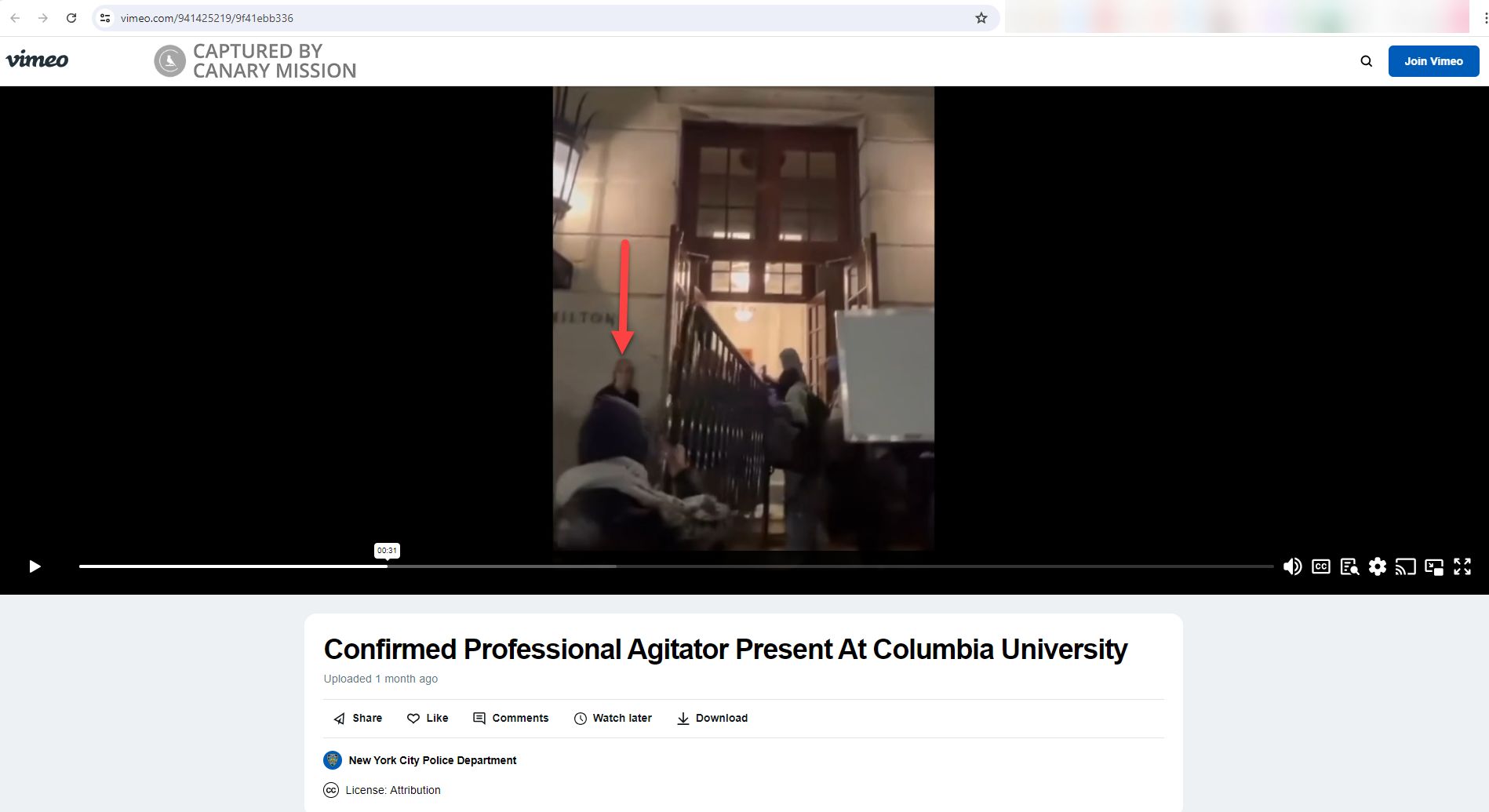 Lisa Fithian, vimeo.com - Apr 1, 2024