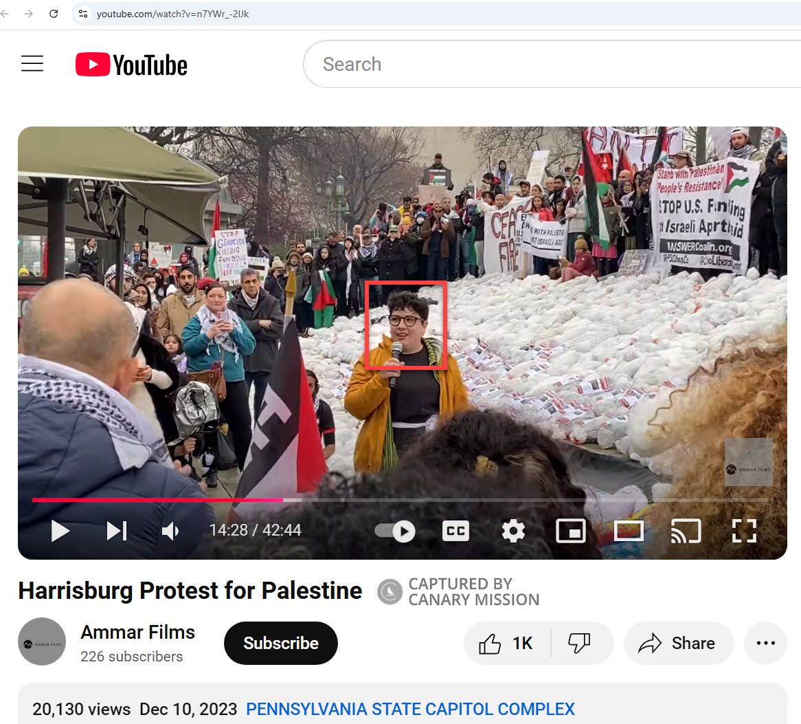 Lonnie Kleinman’s protest appearance, End the Siege on Gaza