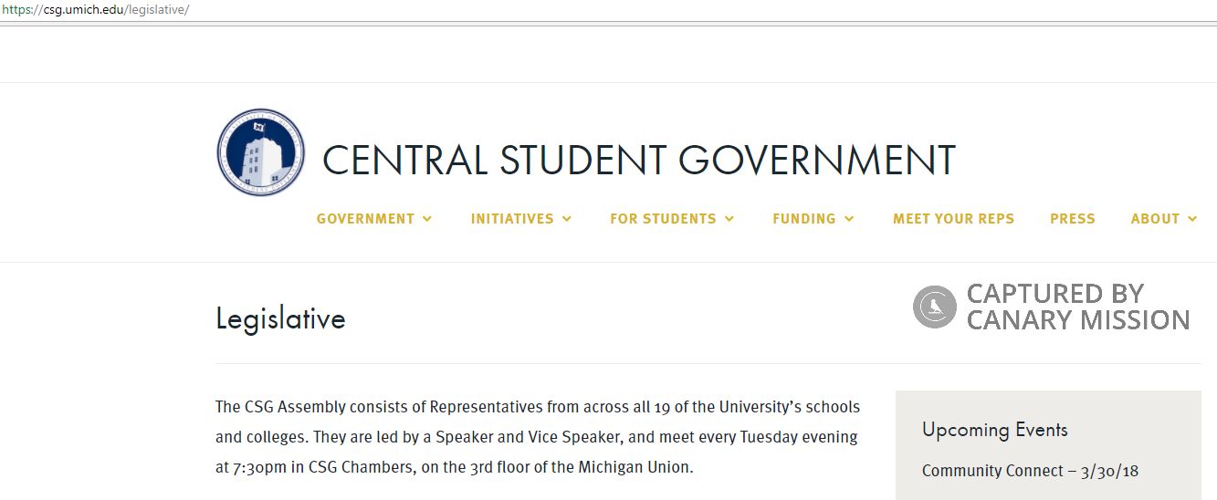 Meghan Fischer image #3