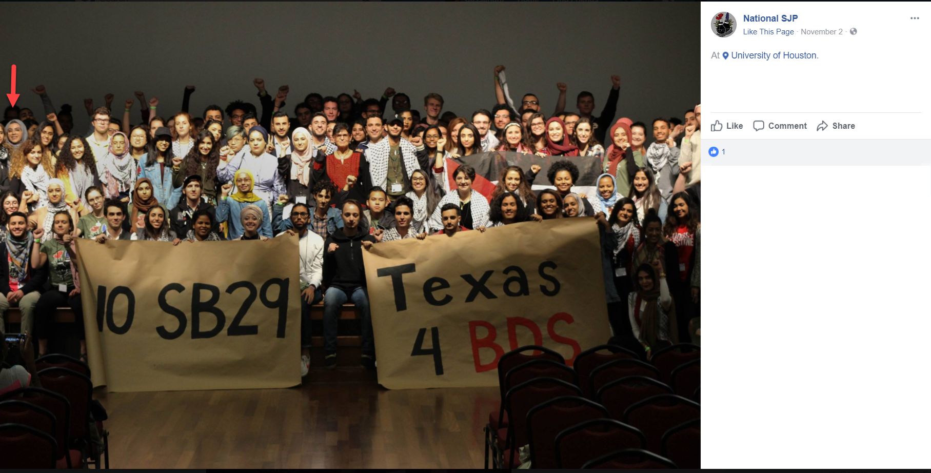 Mennah Abdelrehim image #0