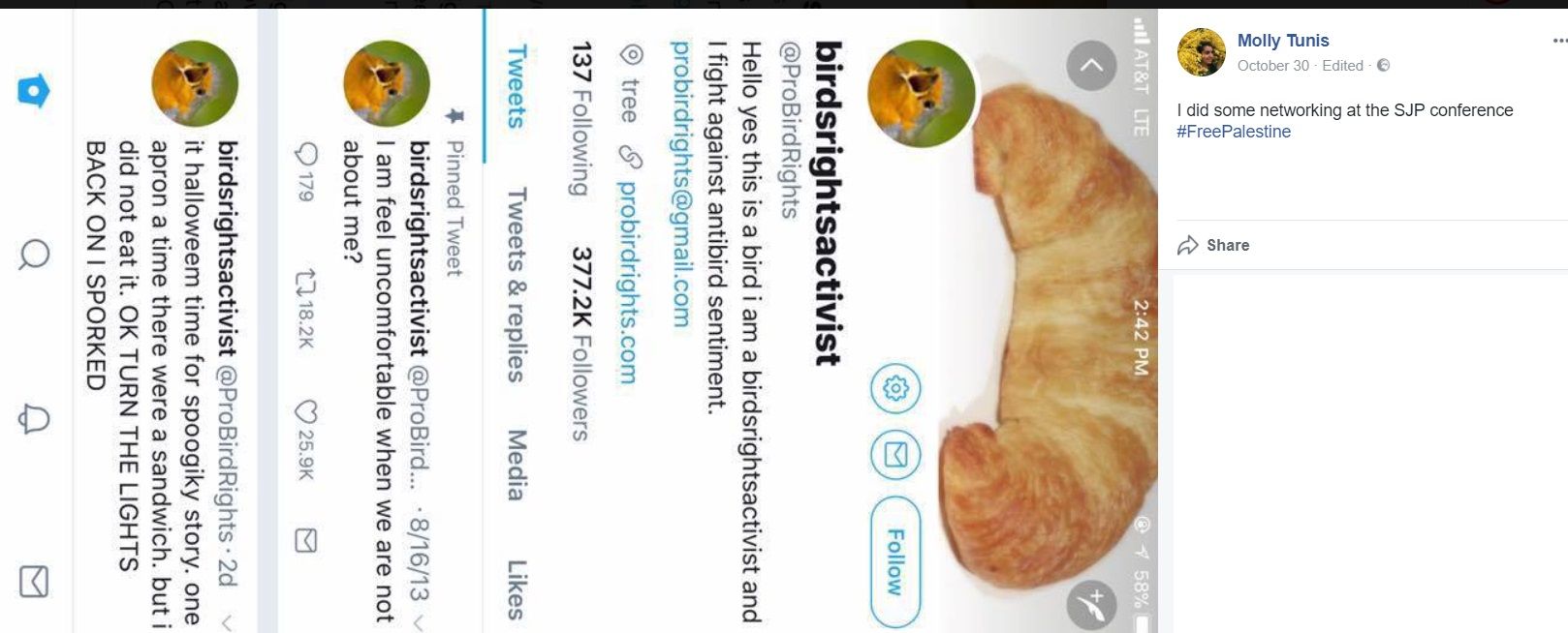 Molly Tunis image #0