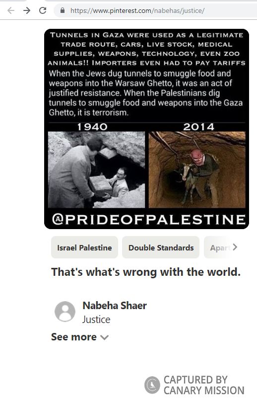 Nabeha Shaer, Pinterest - Mar 6, 2019