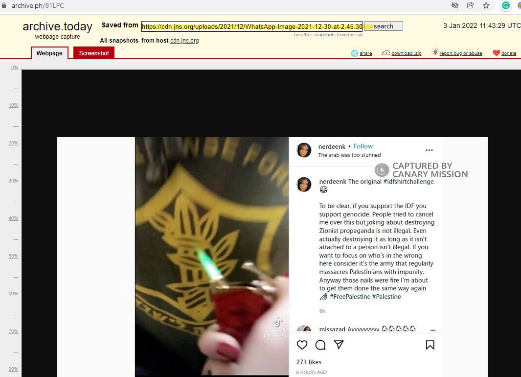 Nerdeen Kiswani, cdn.jns.org - Dec 30, 2021