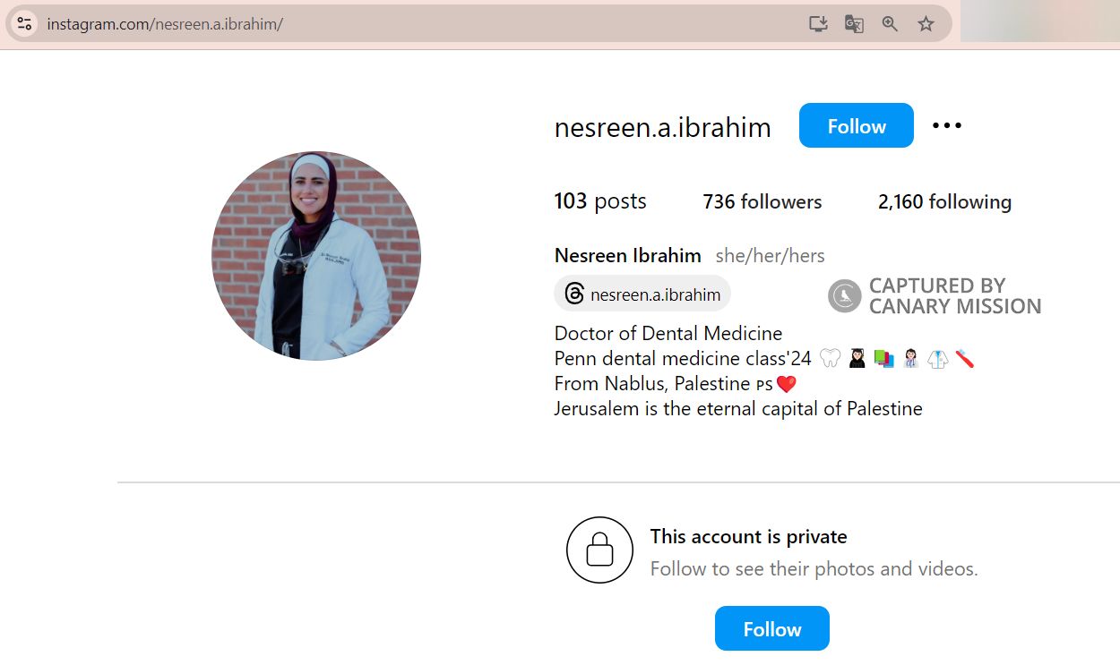 Nesreen Ibrahim, gallery/Nesreen - Invalid Date