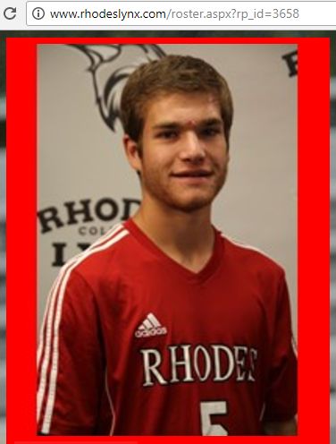 Nick Pietrangelo image #0