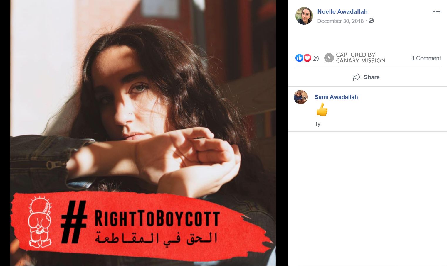 Noelle Awadallah, Instagram - Dec 30, 2018