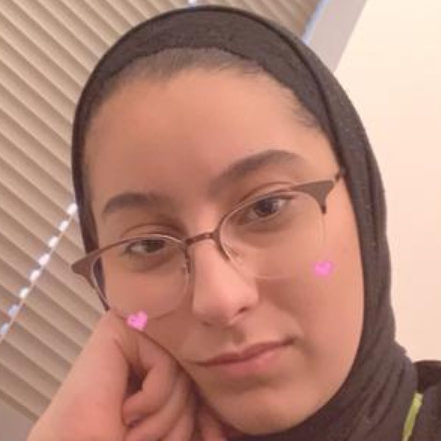 Noor Shahin image #1