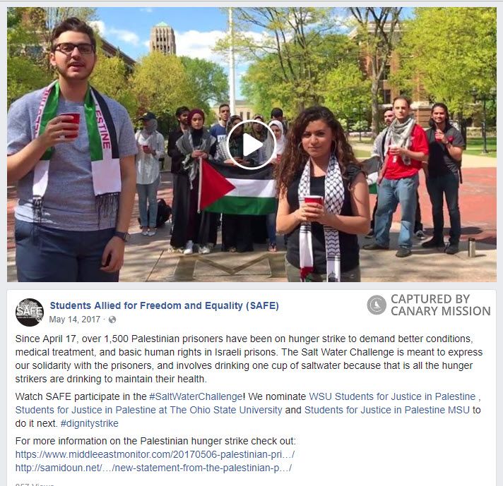 Reem Al-Khatib image #1