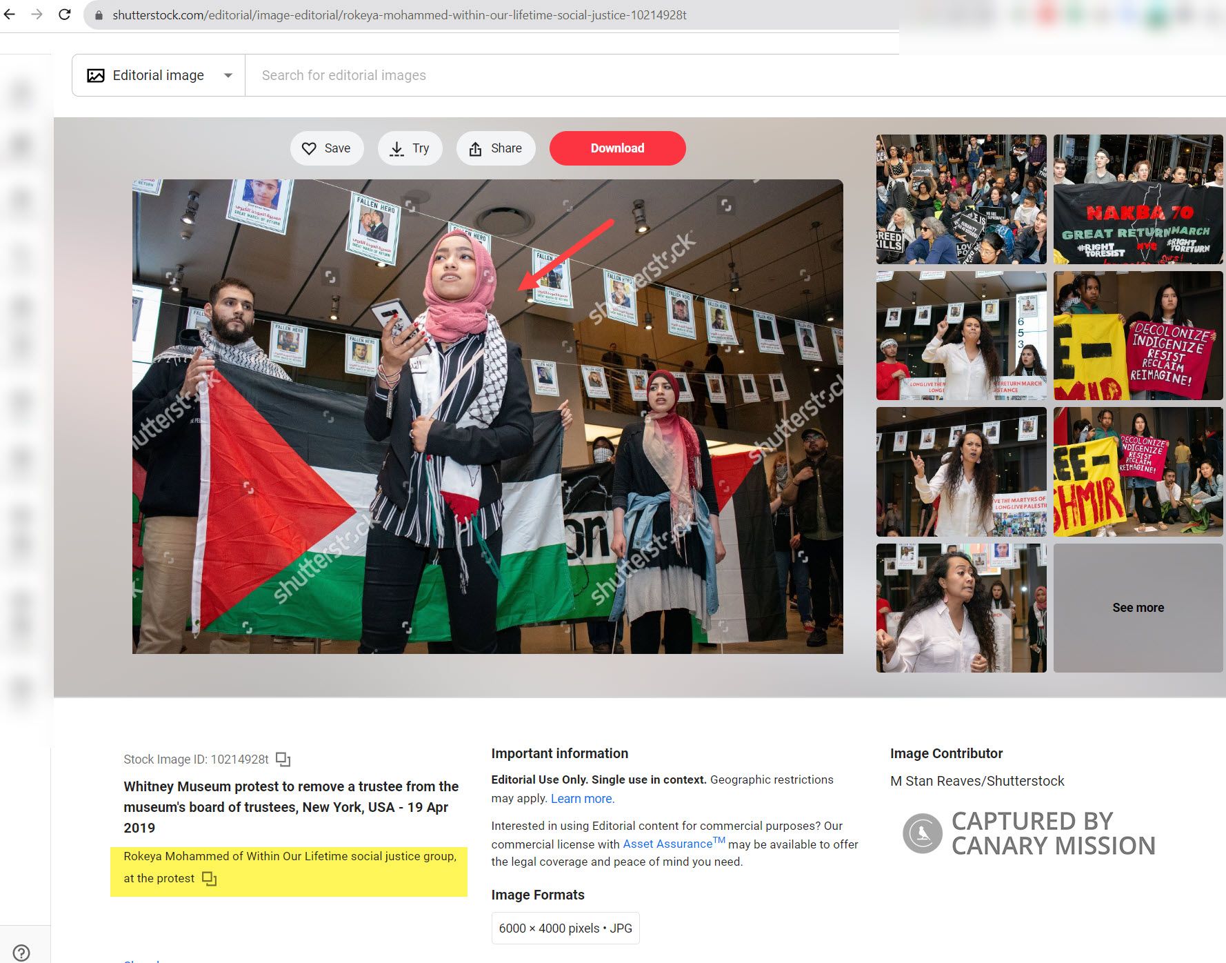 Rokeya Mohammed, shutterstock.com - Apr 19, 2019