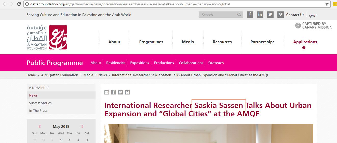 Saskia Sassen image #2