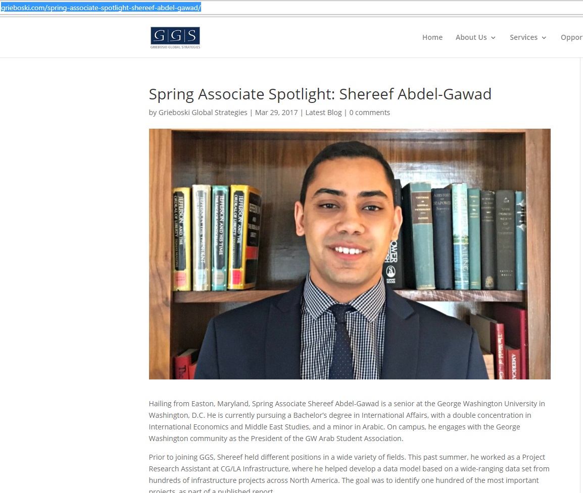 Shereef Abdel Gawad image #3