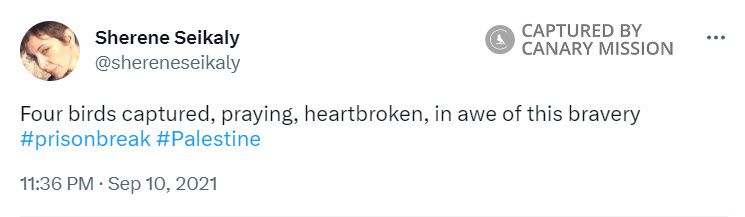 Sherene Seikaly, Twitter - Sep 10, 2021