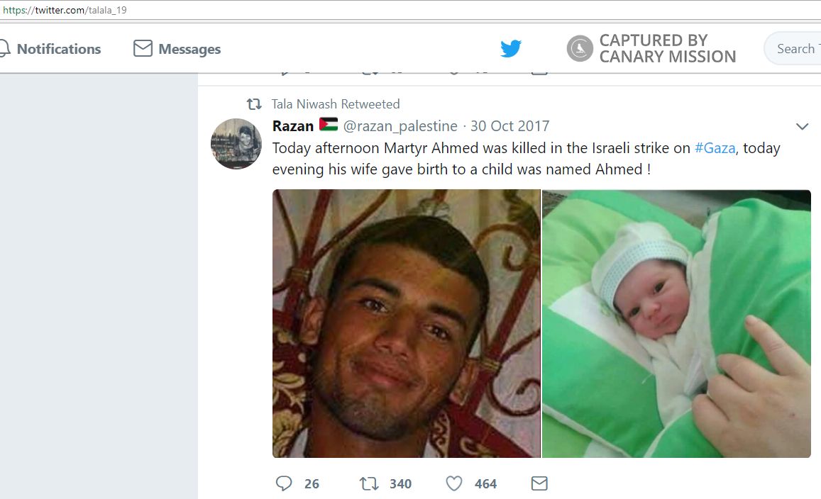 Tala Niwash image #1