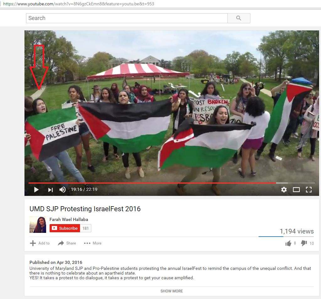 Tam-Anh Nguyen image #2