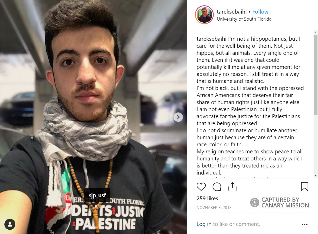 Tarek Sebaihi, Instagram - Nov 3, 2018