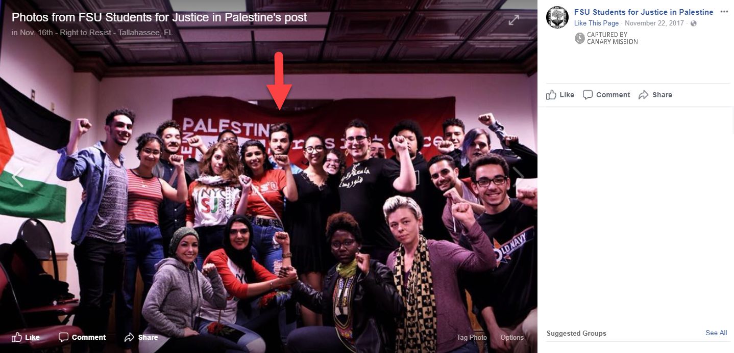 Tyler Crown image #3