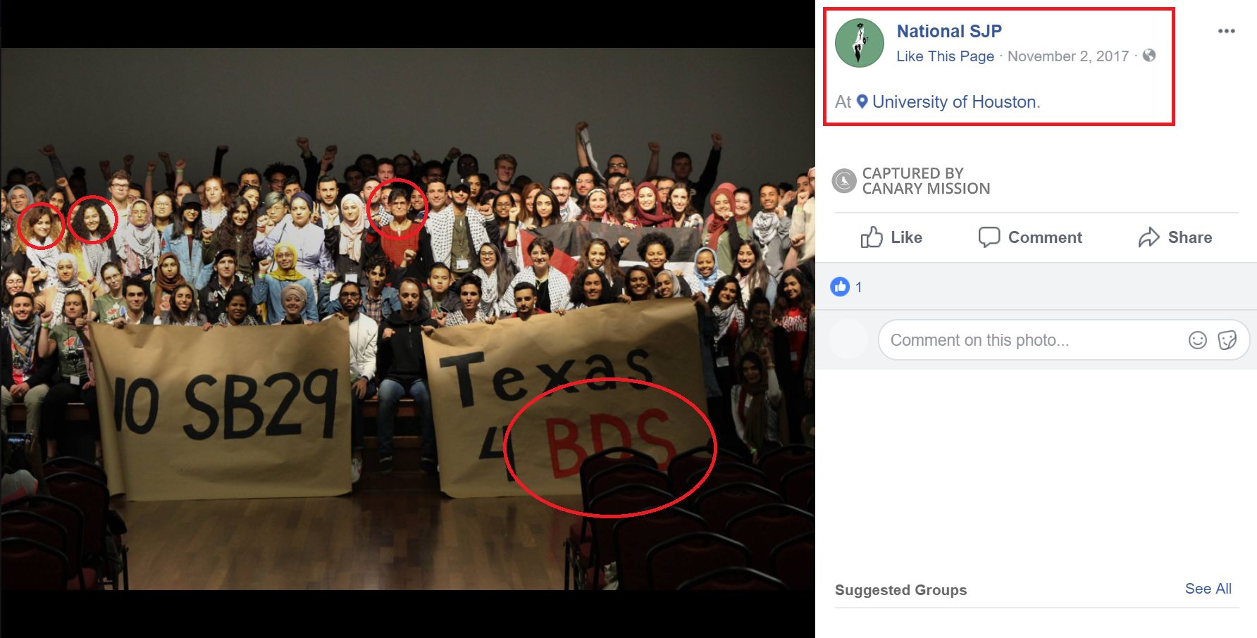 Reem Al-Khatib image #3