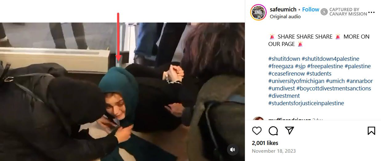 Zaynab Elkolaly, Instagram - Nov 18, 2023