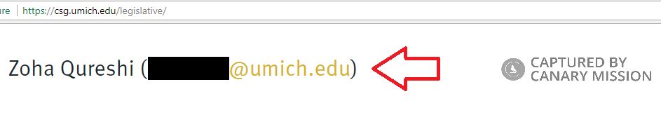 Zoha Qureshi image #2