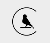 canarymission.org