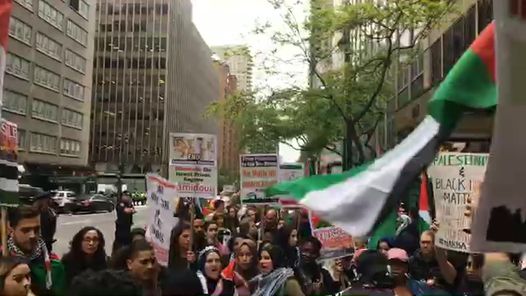 Nadine Kawas facebook video #1