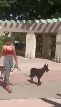 Aleela Taylor mp4 video #0