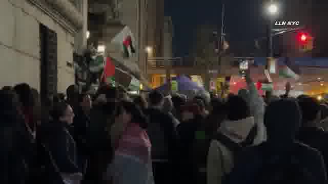 Fadi Shuman mp4 video #3