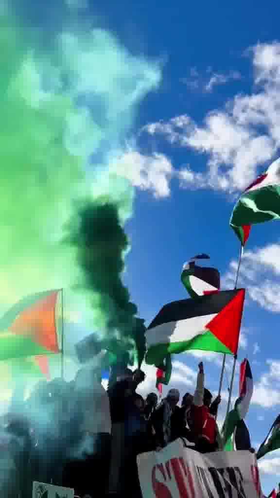 Jana Al-Suleiman mp4 video #1