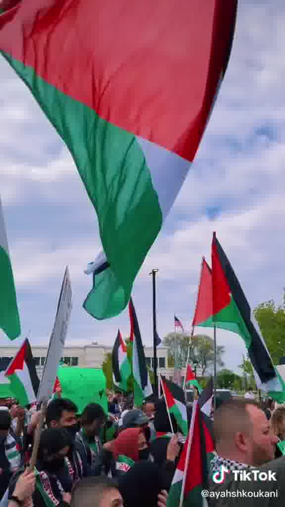 Ayah Shkoukani mp4 video #1