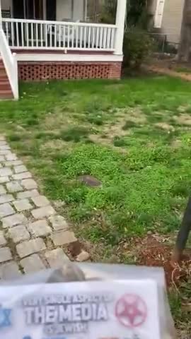 Michael Weaver mp4 video #0
